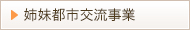 姉妹都市交流事業